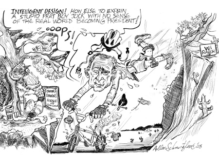 political cartoon about President Bush qualifications